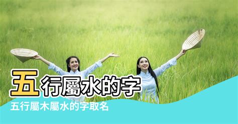 水五行字|康熙字典五行屬水的字 共2031個